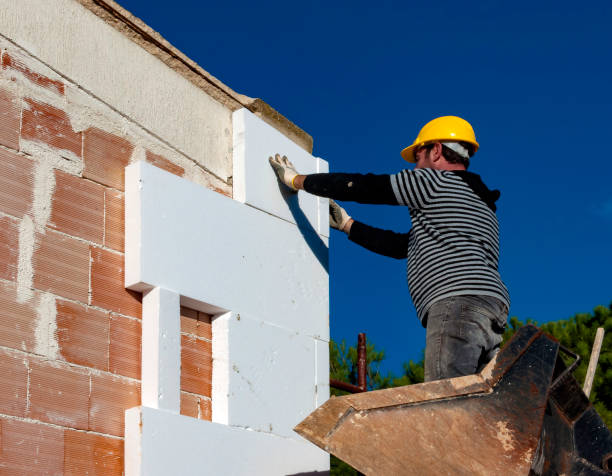 Best Residential Insulation in Ladue, MO