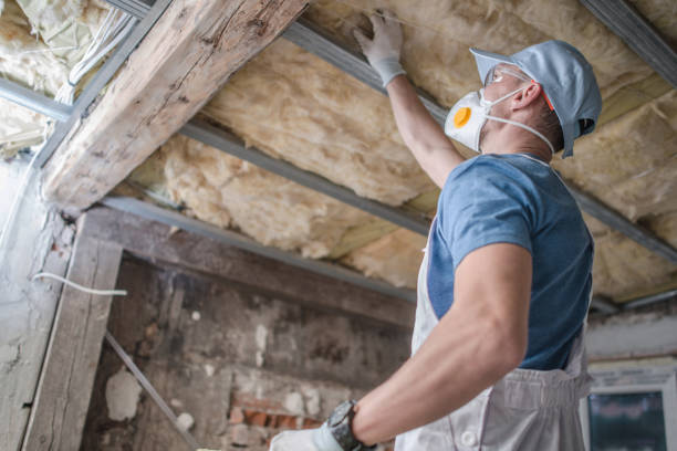 Best Spray Foam Insulation in Ladue, MO