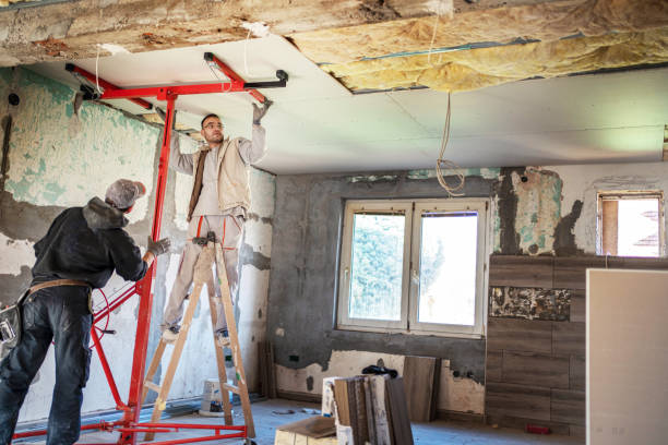 Best Energy Efficiency Insulation in Ladue, MO